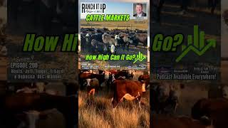 How High Can Cattle Prices Go shorts [upl. by Ingvar507]