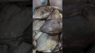 🐟 fishseafood seafishcurry fishing seafishcurry cooking viralvideo [upl. by Casia]