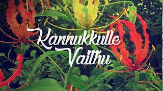 Tamil Eelam Song  Kannukkulle Vaithu [upl. by Eiramoj]