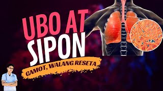 PLEMA sa Baga UBO at SIPON Tanggalin in These Simple Steps  Gamot sa Ubo at Sipon [upl. by Yelyk]