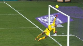 Ligue 1  Week 23  best goalkeeper saves  201213 [upl. by Jolene943]