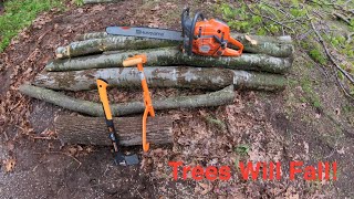 Trees VS Husqvarna 592XP [upl. by Fabiola]