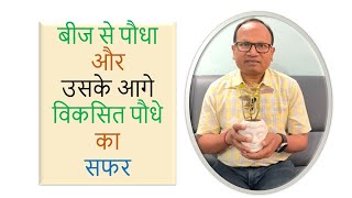 बीज से पौधा और उसके आगे विकसित पौधे का सफर by Prof G R Sinha [upl. by Ahsratan]