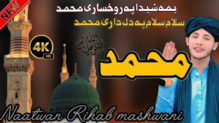 Pashto Naat Sharif NewYamaShida Pa Dildare Muhammad نعت رسول ﷺ [upl. by Homere89]