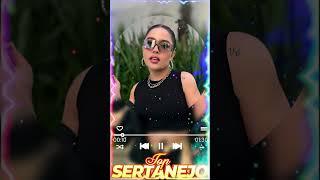 SERTANEJO 2024  TOP 100 Musicas Sertanejas REMIX Mais Tocadas [upl. by Aihsekal112]