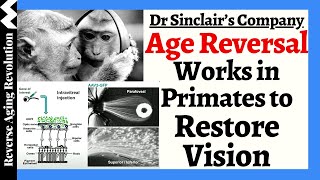 Dr Sinclairs Co Presents Groundbreaking Data On AGE REVERSAL To RESTORE VISION Via Reprogramming [upl. by Ocirne]