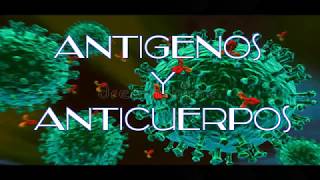 Antigenos y Anticuerpos Estructura clasificación y propiedades [upl. by Styles742]