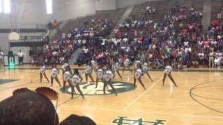 Memphis Prancing Tigerettes  Fieldshow 2014 [upl. by Dorice152]