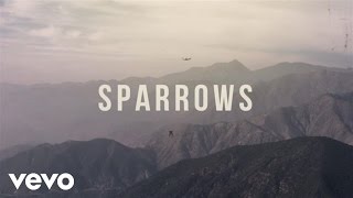 Jason Gray  Sparrows Official Lyric Video [upl. by Charmian668]