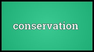 Conservation Meaning [upl. by Madella]