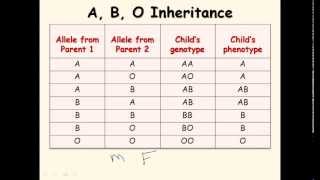 11 AB blood type genetics [upl. by Pearlstein734]