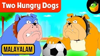 അത്യാഗ്രഹികളായ നായ്ക്കൾ Two Hungry Dogs  Aesops Fables  Magicbox Malayalam [upl. by Tinya]