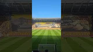 🔥 TIFO  Dynamo Dresden v Hansa Rostock Bundesliga 2 21092024 [upl. by Bang156]