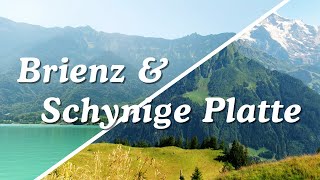 Switzerland  Brienz amp Schynige Platte  Part 2 [upl. by Eceinaj337]