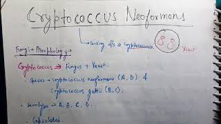 Cryptococcus neoformans Microbiology [upl. by Diskin168]