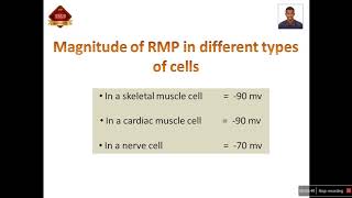 شرح ال Resting membrane potential RMP  محمود احمد  SDLC [upl. by Goat725]