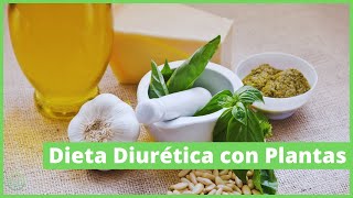 🌿 Dieta Diurética con Plantas  ⚠️Retención de Líquidos [upl. by Warren]