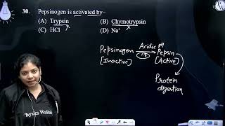 Pepsinogen is activated by [upl. by Ayikur]