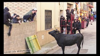 POZUELO DE ARAGÃ“N  ZARAGOZA  TARDE VACAS CALLE  DOMINGO 15 ENERO 2023  VIRGEN DE SANCHO ABARCA [upl. by Akenahc]