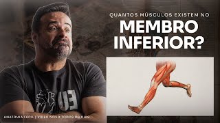 NUNCA FOI TÃO FÁCIL APRENDER OS MÚSCULOS DO MEMBRO INFERIOR  anatomiafacil [upl. by Rimhsak]