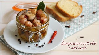 Lampascioni sott’olio  ricetta con i lampascioni pugliesi [upl. by Bethanne]