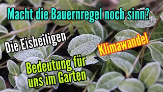 Die Eisheiligen gibt es die noch Klimawandel Ist diese Bauernregel noch sinnvoll für uns im Garten [upl. by Imoan]