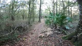 The Florida Trail  Inverness to Ocala Forrest [upl. by Deelaw]