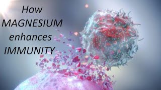 How Magnesium enhances immunity [upl. by Eelatan913]