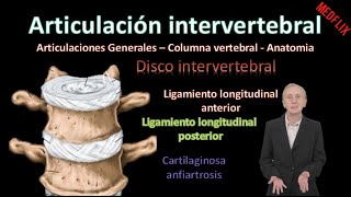 🦵Articulación intervertebral  Sínfisis intervertebral   Columna Vertebral  Anatomía [upl. by Barrada]