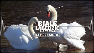 BIAŁE ŁABĘDZIE ALE TO VIXA DJ PRZEMOOO [upl. by Hattie]