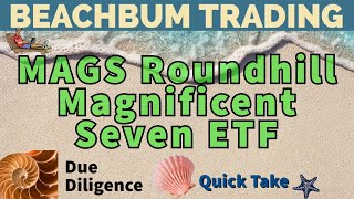 MAGS  Roundhill Magnificent Seven ETF  Quick Take [upl. by How]