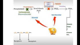 NSAIDs in 2 minutes [upl. by Gaut]