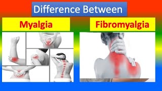 Distinction between Myalgia and Fibromyalgia [upl. by Kolk]