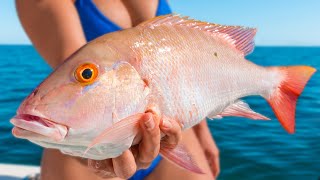 Best Tasting Fish in the Florida Keys  Mutton Snapper Reef bottom Fishing Catch amp Cook [upl. by Till622]