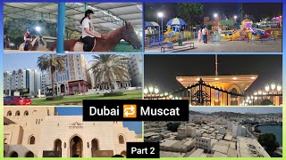 Dubai to Muscat Road Trip🚗  Complete Tour Guide amp Visa process  Must visit place  Episode 2 [upl. by Akinahs]