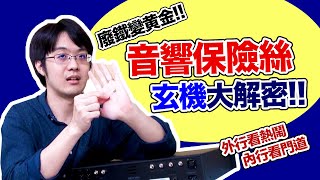 音響調整弄不好？我猜你忘了換保險絲！音響系統廢鐵變黃金就靠它～ [upl. by Airak749]