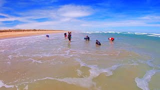 Goolwa Cockling  Catching Goolwa Cockles  South Australia Beaches  Fishing South Australia  Ep15 [upl. by Ynnor]