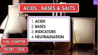 Acids Bases amp Salts  Full Chapter In 1 Video  Animated   Class 7th Science  Easy Explanation [upl. by Dorison]