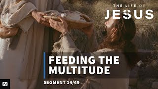 Feeding the Multitude  The Life of Jesus  14 [upl. by Litman]