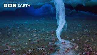 The Finger of Death that Freezes Everything it Touches  Earths Great Seasons  BBC Earth [upl. by Kuebbing]