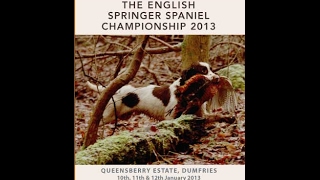 2013 English Springer Spaniel Championship held at Queensbeery Estate [upl. by Victorine]