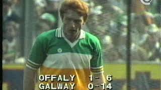 1981 All Ireland Hurling Final Offaly v Galway Second Half [upl. by Gunas158]