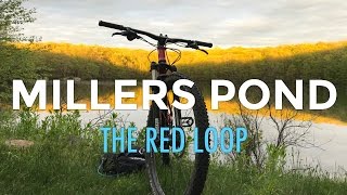 Red Loop at Millers Pond State Park in Durham CT  Mountain Biking Connecticut [upl. by Assennev]