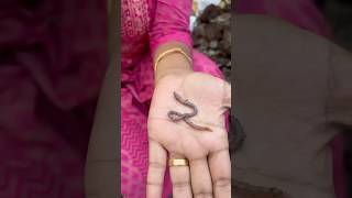 உயிருள்ள நூடுல்ஸ்😲🪱 Earthworm  மண்புழு உரம் allwinjilly nature shorts tamilshorts worms [upl. by Crabb]