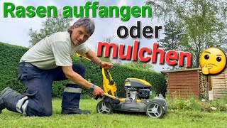 Rasen mulchen oder auffangen Rasenmäher Vergleich STIGA Multiclip ST 140 vs SOLO Primo 582 garten [upl. by Naltiac154]