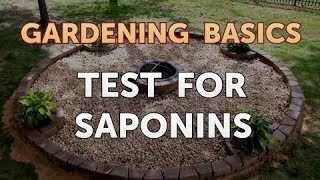 Test for Saponins [upl. by Divan]