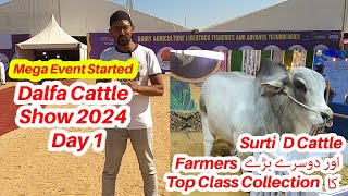 Dalfa Cattle Show 2024 Day 1 D Cattle Farm Surti Cattle Farm Top Class Collection [upl. by Onihc]