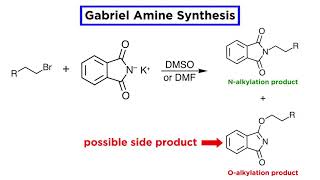 Gabriel Amine Synthesis [upl. by Scott487]