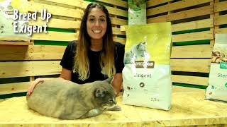 Pienso para gatos con necesidades especiales Breed Up  Tiendanimal [upl. by Norvan]