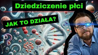 Dziedziczenie płci⚡ Dziedziczenie Daltonizmu i Hemofilii🤓 Dziedziczenie grup krwi🔥 genetyka klasa 8 [upl. by Aken]